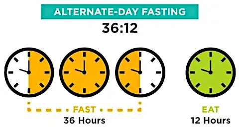 4 klokjes die de cyclus van ADF beschrijven
