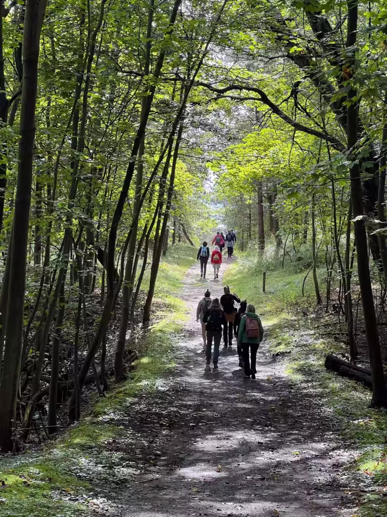 Retraitecentrum Land aan zee in Zeeland nabij Burgh-Haamstede,boswandeling