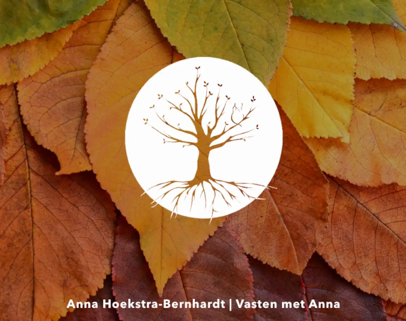 ADF-handboek cover